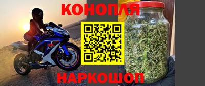 PSILOCYBIN Кимры