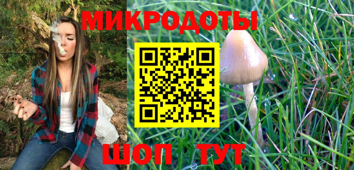 Галлюциногенные грибы MAGIC MUSHROOMS  Псилоцибиновые грибы мухоморы  Глазов  Вход с VPN 
